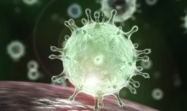 Pandemi nedir, ne demektir? Pandemi ilan edilen hastalıklar hangileridir? Dünya Sağlık Örgütü Corona virüsü açıklaması!