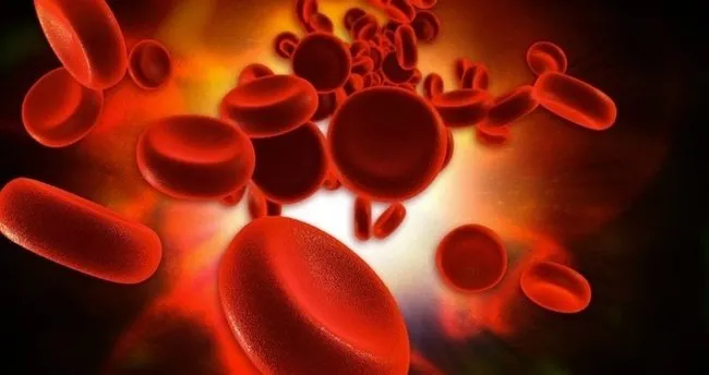 yerlesme kanamasi ne zaman olur kac