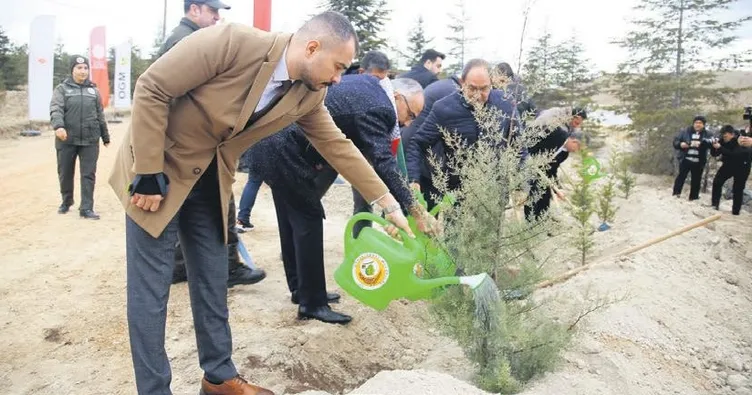 Türkiye Filistin ile temasta