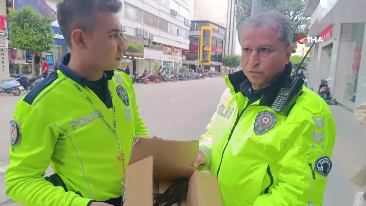 Hatay’da yorgun düşen Ebabil kuşlarına polisten yürek ısıtan şefkat | Video videosunu izle Hatay’da yorgun düşen Ebabil kuşlarına polisten yürek ısıtan şefkat | Video videosunu izle