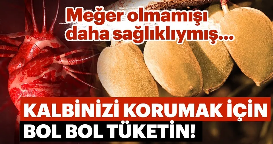 Çağlanın faydaları saymakla bitmiyor... Özellikle kalbinizi korumak için bu besini bol bol tüketin! Çağlanın faydaları saymakla bitmiyor... Özellikle kalbinizi korumak için bu besini bol bol tüketin!