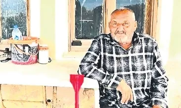 Kanepede uyuyan adamı ayı öldürdü