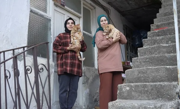 hayvansever-kadinlar-engelli-kedileri-hayata-bakin-nasil-bagladilar-1737527969014.jpg