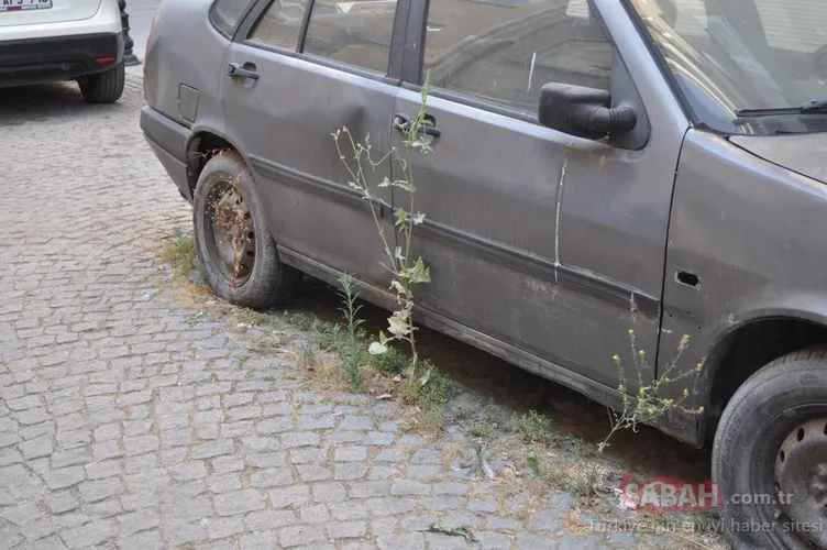 10 yıldan beri yerinden hareket ettirilmedi! Merak konusu olmuştu: Hikayesi yürekleri dağladı...