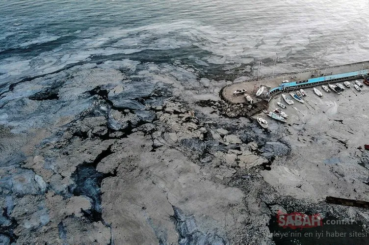 Marmara Denizi’ni etkisi altına almıştı... Salya temizliği devam ediyor!