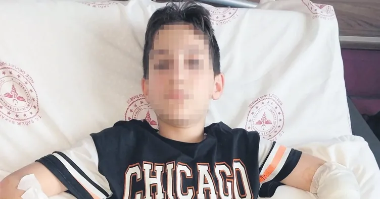 ‘Başıboş köpekler toplatılsın’