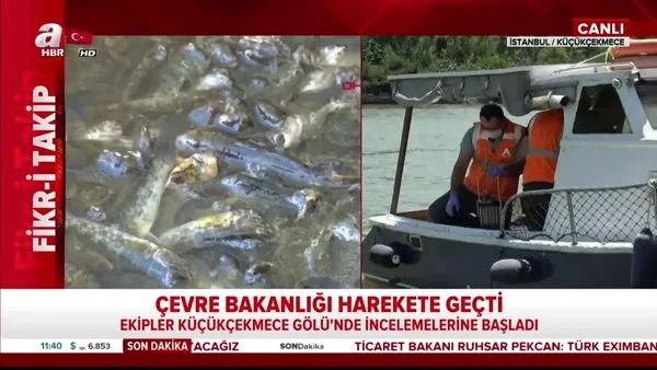 Son dakika: İstanbul Küçükçekmece Gölü'ndeki kirliliğe Çevre Bakanlığı el koydu | Video