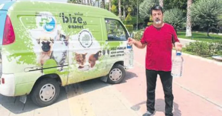 Sokak hayvanları için bir kap su