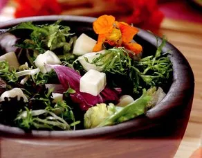 Akdeniz Salatası