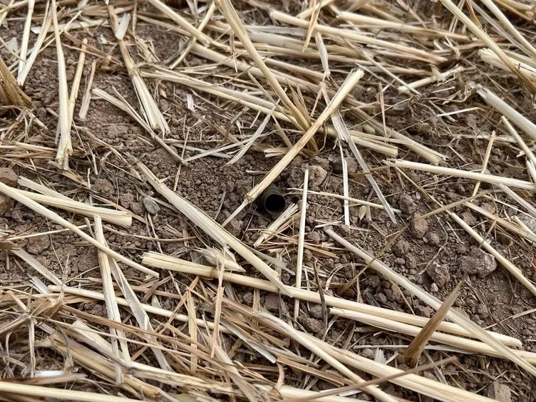 Diyarbakır’daki arazi kavgasından sağ kurtuldu! O anları böyle anlattı: Bir anda kurşun değdi…