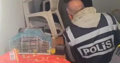 Turistleri hedef alan kart dolandırıcılarına operasyon! 4 şüpheli yakalandı #mugla