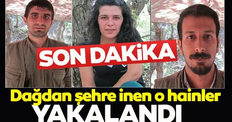 Son Dakika: Diyarbakır’da PKK operasyonu! Metropollere saldıracaklardı