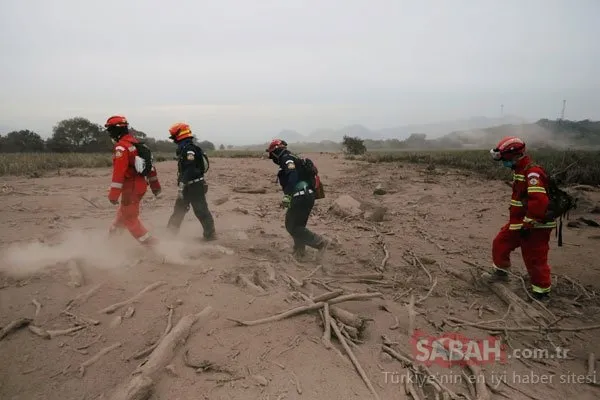Korkunç görüntüler ortaya çıktı