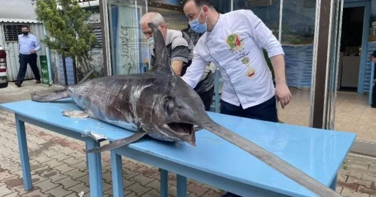 Saros Körfezi’nde yakalanan dev kılıç balığı ilgi gördü