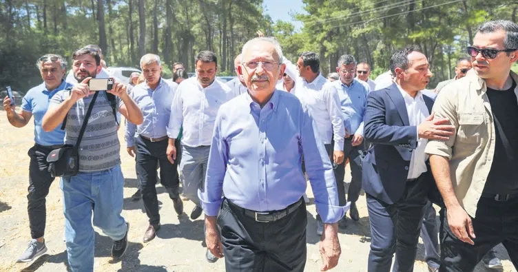 Ağaç katliamını yapan yandaş olunca sözde çevreciler suspus: ikiyüzlüler!