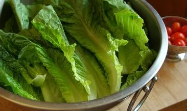 3 hafta taze kalıyor, yöntemi ise...