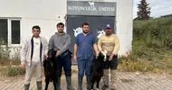 Honanlı keçi ırkı Türk hayvancılığına yön verecek