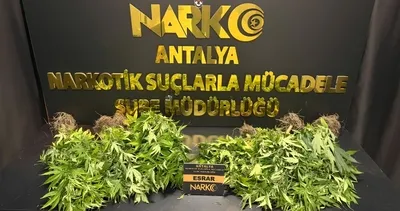 Zehir tacirlerine geçit yok