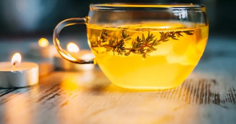 kekik cayi nasil demlenir nelere iyi gelir ibrahim saracoglu kekik cayi tarifi saglik haberleri