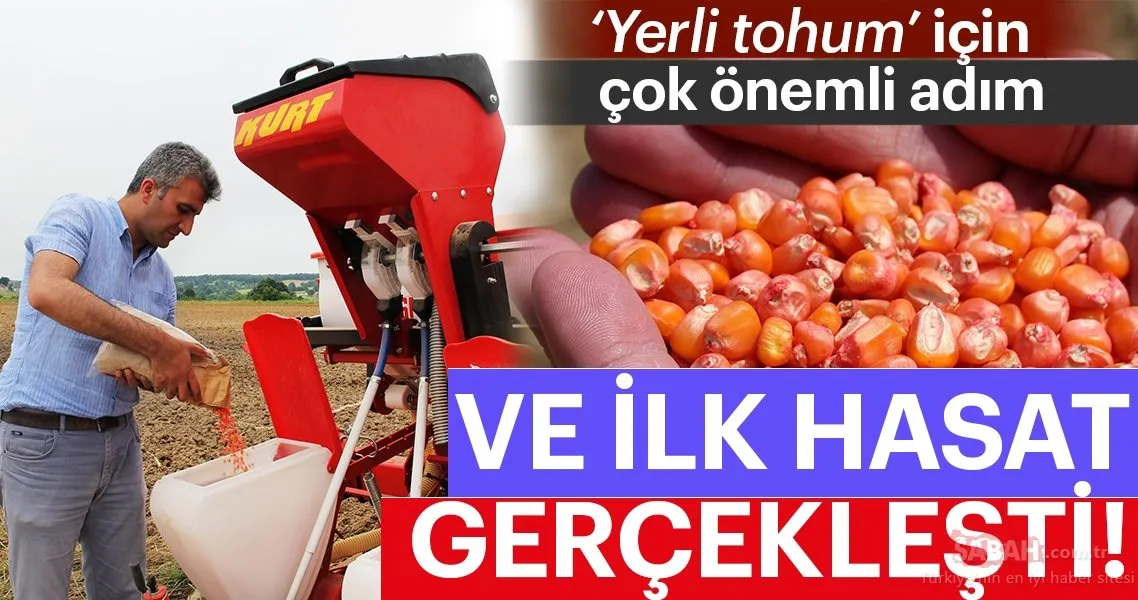 Yerli tohum için çok önemli adım! Ve ilk hasat gerçekleşti...