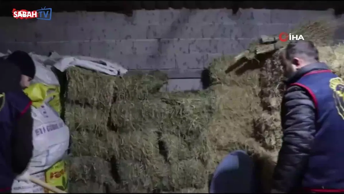 Nevşehir jandarmadan 3 ilde operasyon: 4 gözaltı | Video videosunu izle Nevşehir jandarmadan 3 ilde operasyon: 4 gözaltı | Video videosunu izle