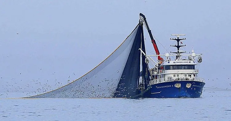 Batı Karadenizli balıkçılar hamsi için gece yarısı denize açılacak