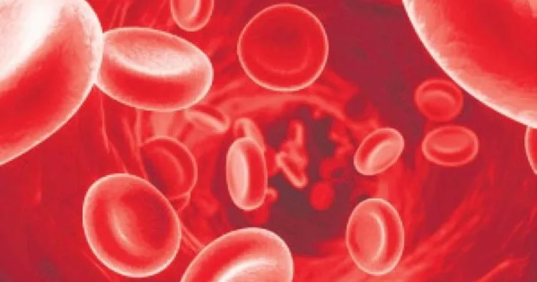 Kök hücreyle sınırsız kan
