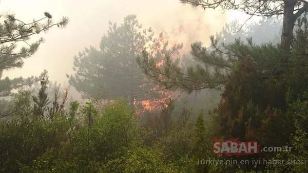 Kartal'da korkutan orman yangını