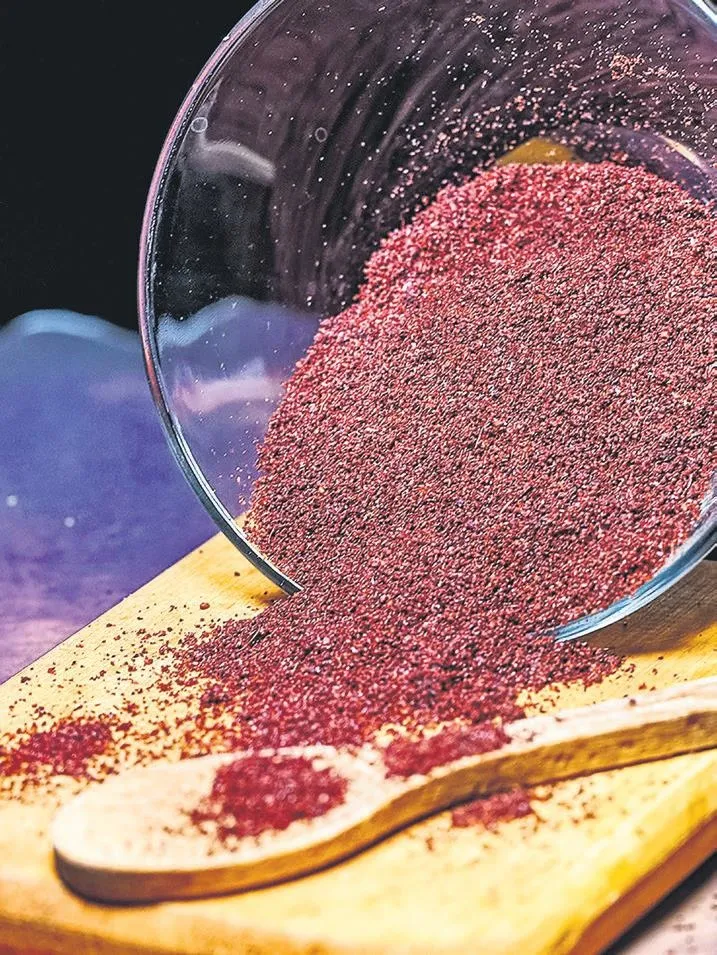 Türk mutfağı ve sumak