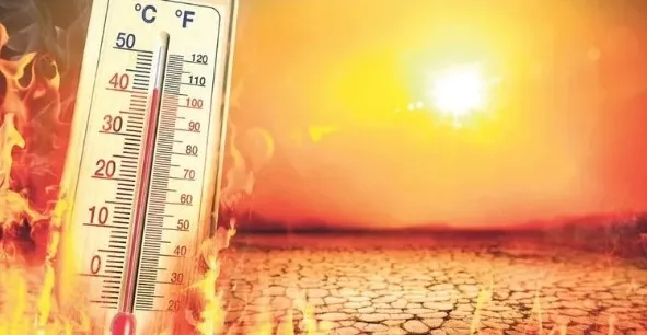 2010 yılının sıcaklık rekoru aşıldı! 2025 en sıcak yıl olacak!