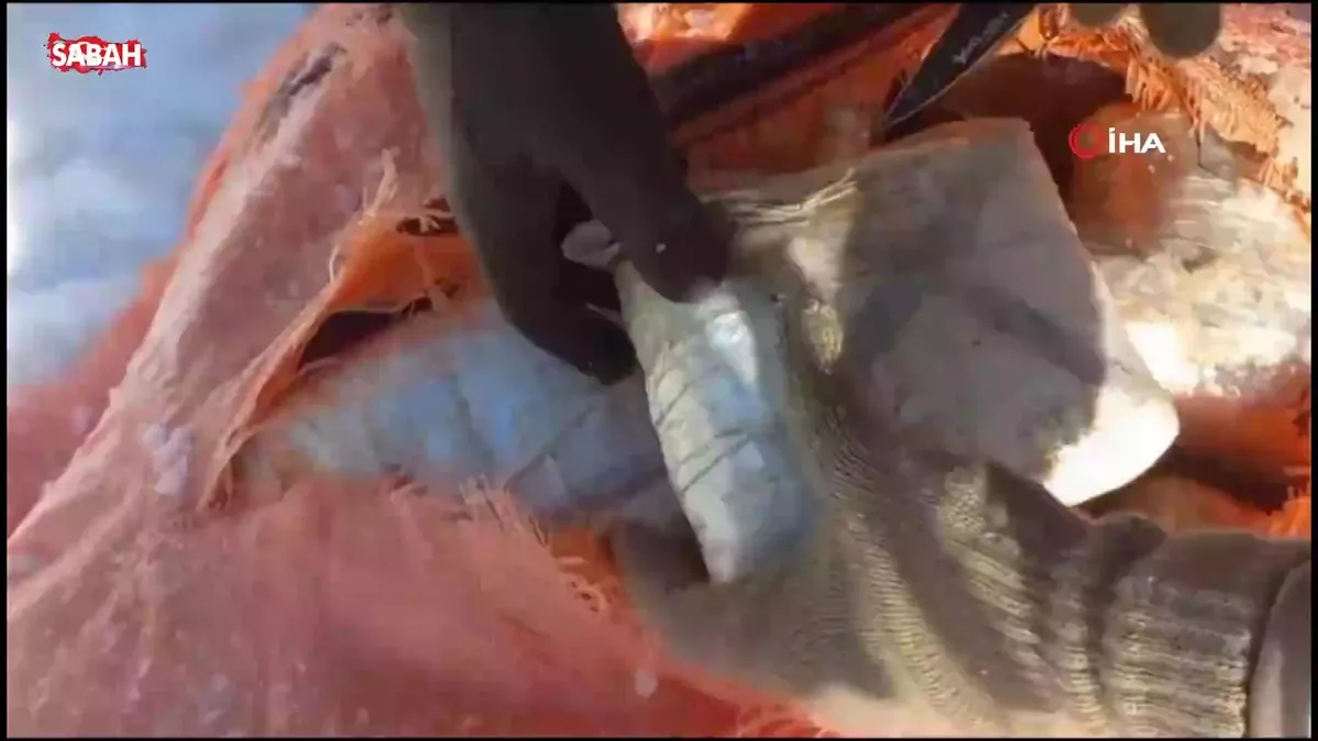 Bakan Yerlikaya: “348 kilogram uyuşturucu madde ele geçirildi” | Video videosunu izle Bakan Yerlikaya: “348 kilogram uyuşturucu madde ele geçirildi” | Video videosunu izle