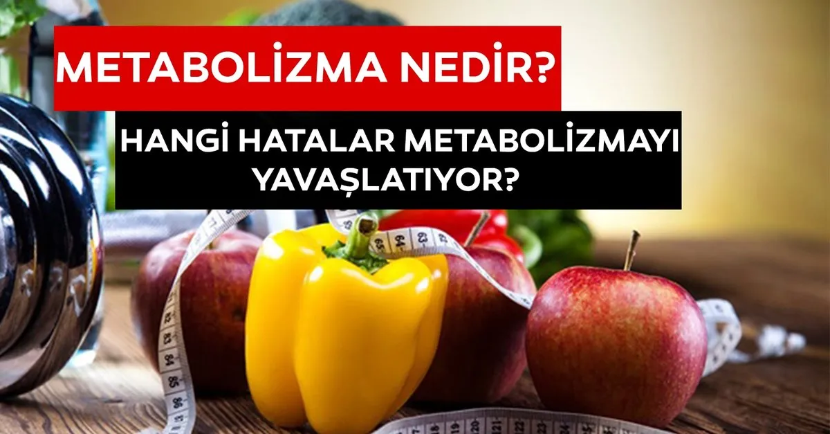 Metabolizma Nedir Diyette Yapilan Hangi Hatalar Metabolizmayi Yavaslatiyor Iste Detaylar Sayfa 6 Medya Haberleri