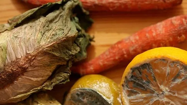 Küflü gıdaların karaciğerinize verdiği zararı bilseniz…