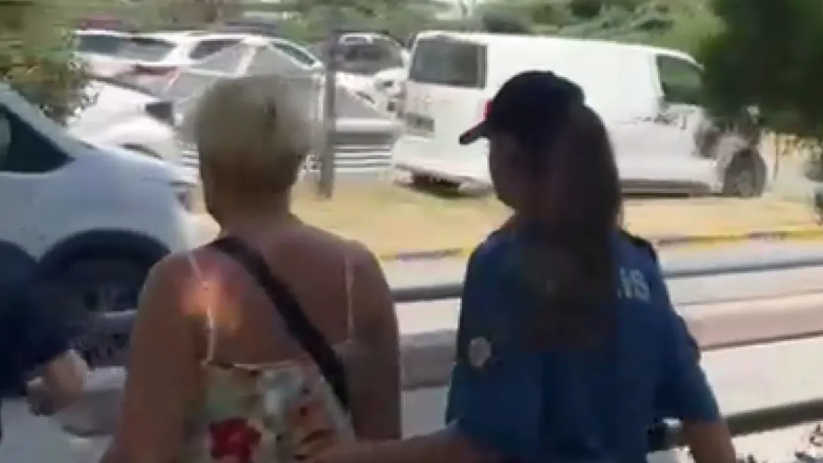 Bakırköy’deki 'kedi' kavgasında akılalmaz detaylar: O kadın yolu böyle kapatmıştı! Suç dosyası kabarık çıktı…