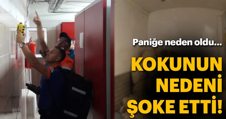 Kokunun nedeni sarımsak çıktı!