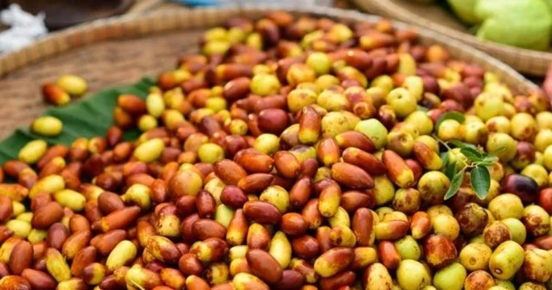 Hunnapin Faydalari Ve Zararlari Nelerdir Hunnap Nasil Tuketilir Fazla Yenirse Ne Olur Saglik Haberleri