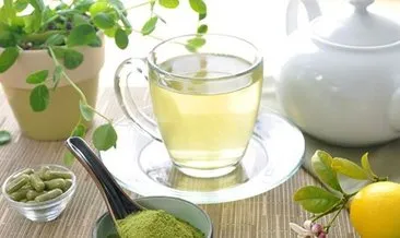 Moringa çayı faydaları nelerdir?