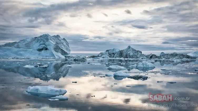 Kuzey Kutbu’nda yeni bakteri türleri keşfedildi! Dizeli ve petrolü temizleyebiliyor