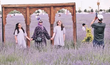 Bozkırda lavanta festivali heyecanı