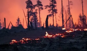 Almanya’da orman yangını yayılıyor: ‘Afet alarmı’ verildi