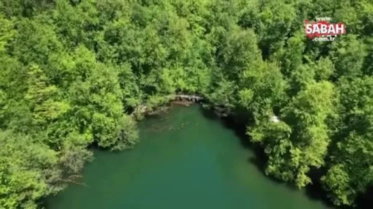 Yeşilin tüm tonlarını barındıran Yedigöller'de görsel şölen havadan görüntülendi | Video