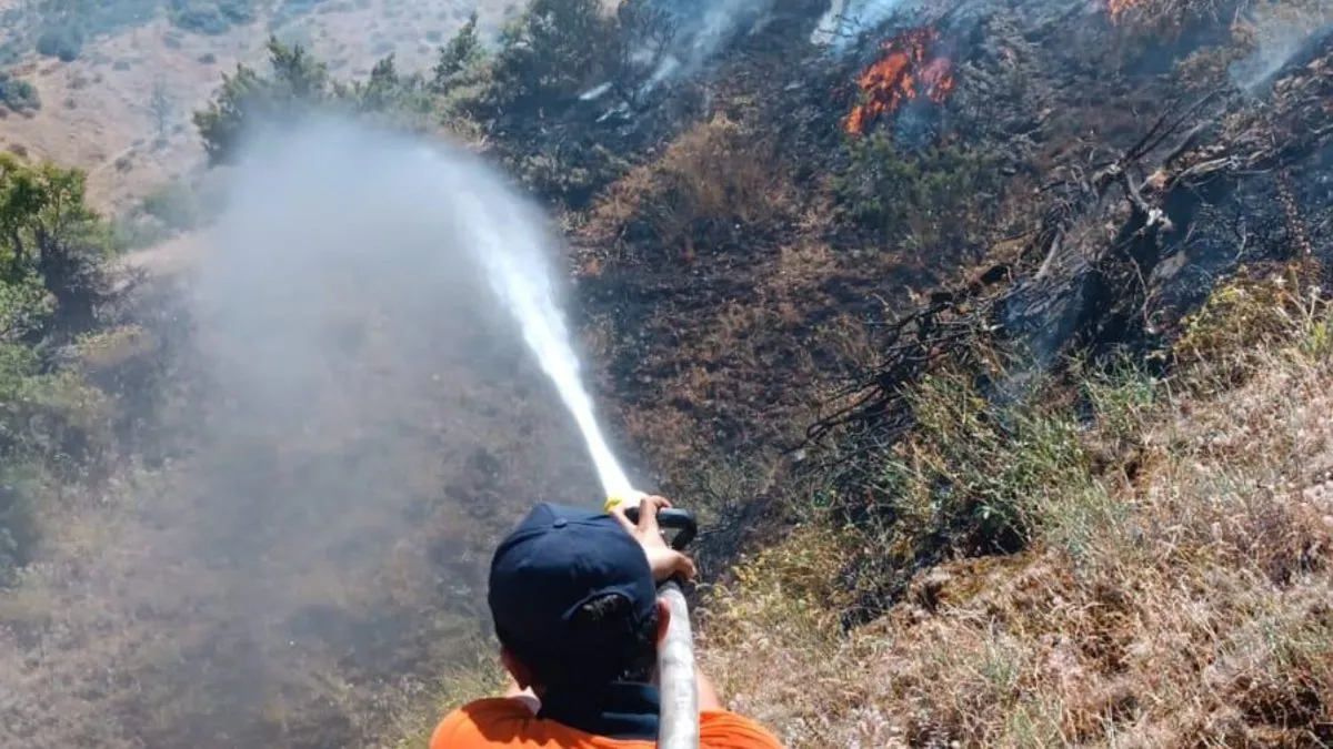 Bingöl'de iki ilçede orman yangını