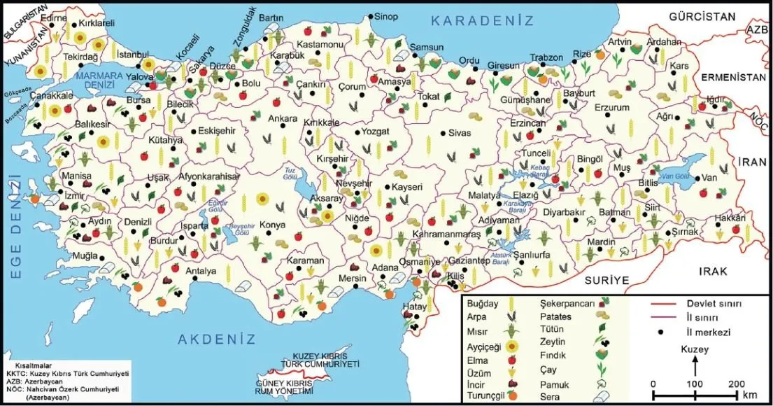 Türkiye Tarım Ürünleri Haritası - Bölgelere Göre Türkiye’de Yetişen