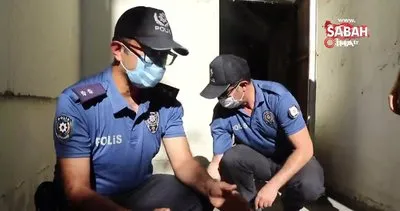 Erzincan’da karakolda doğum yapan kedi ve yavrularına polislerden şefkat eli | Video