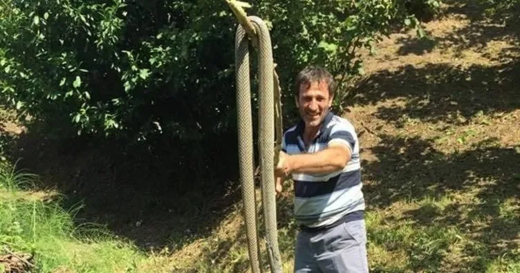 3 metrelik yılanı görünce şoke oldular