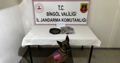 Bingöl’de 4 firari hükümlü yakalandı: 17 şüpheliye işlem yapıldı #bingol