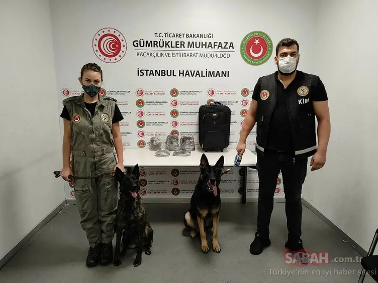 SON DAKİKA: Şüpheli yolcuyu dedektör köpeği tespit etti! İstanbul Havalimanı'nda yakalandı...