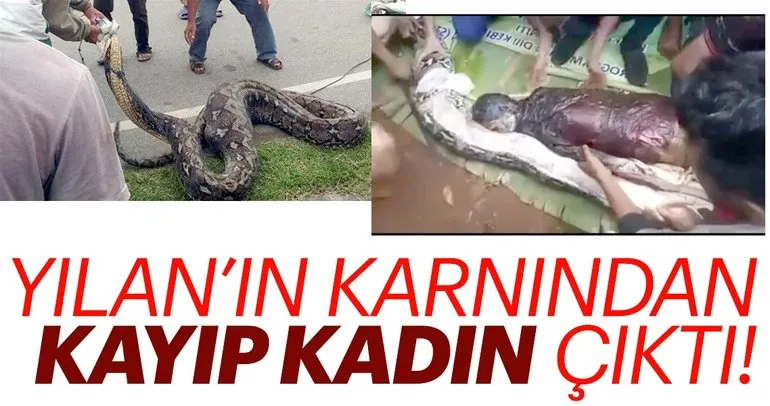 bavuldan ball cinsi piton cikti son