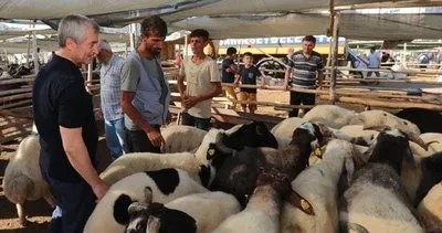 Gaziantep Belediyesi kurban pazarı kurdu #gaziantep