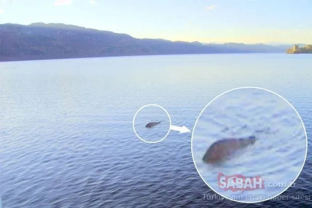 Loch Ness Gölü Canavarı bulundu ancak... Dünyayı şoke eden iddia!